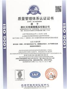 2017 ISO 9001-1